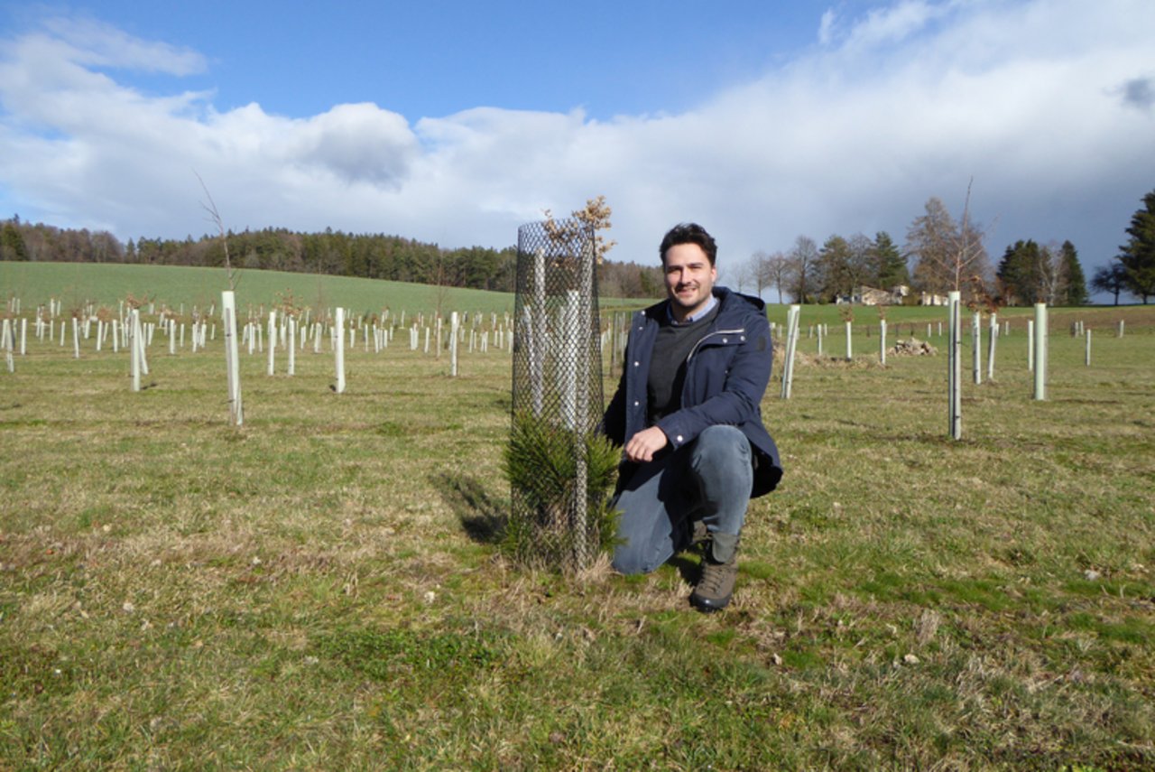 Gioele Fiori, Agrarwissenschaftler an der ETH Zürich, will ein Kompetenzzentrum für Trüffelproduzenten erschaffen. (Bild lid/Regine Imholz)