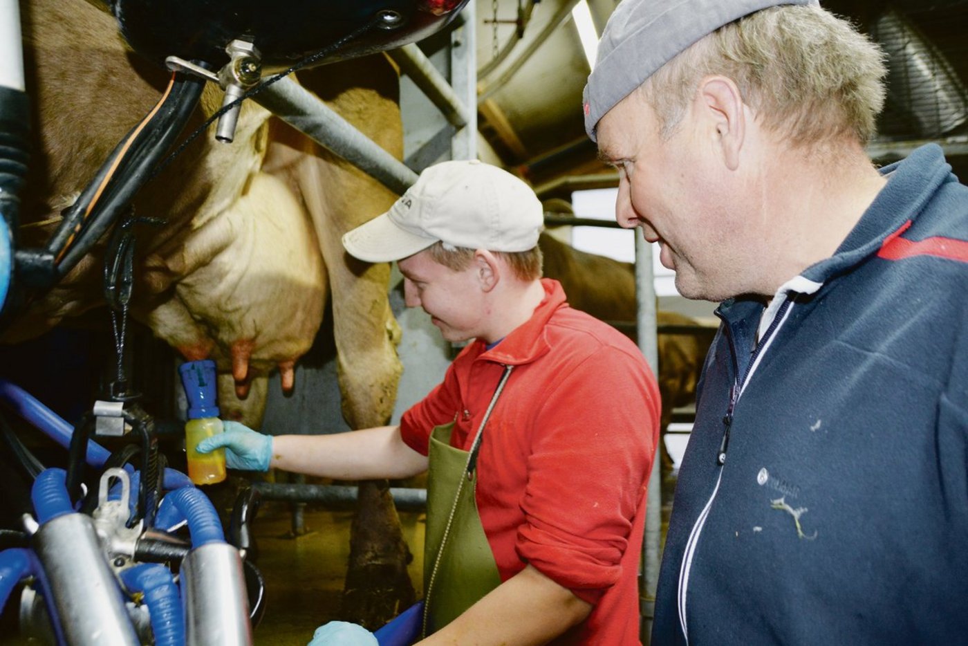 Fast 300 landwirtschaftliche Lehrverhältnisse laufen in Kanton Luzern. Um Abbrüche zu verhindern, lohnt sich Schnuppern, und zwar mindestens drei Tage, sagen Experten.(Symbolbild aem)
