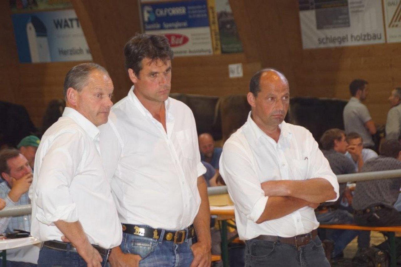Experten: Josef Portmann, Walter Rhyner und Christian Näf (von links)