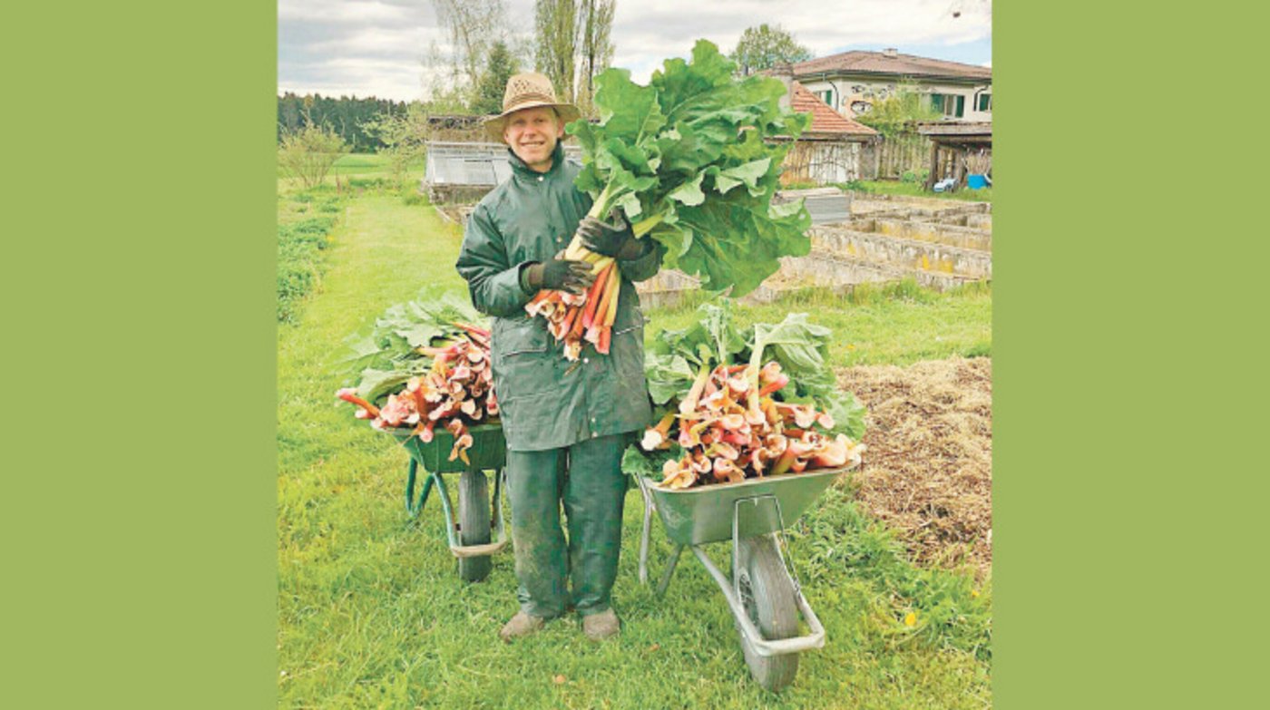 David Leuthard macht die Ausbildung zum Zierpflanzengärtner. Der junge Mann erklärt, warum er es liebt, Gärtner zu sein. (Bild David Leuthard)