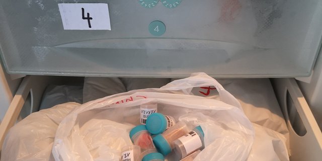 Für das Teilprojekt Genomik wurden bereits fleissig Proben gesammelt. (Bild Suisag)