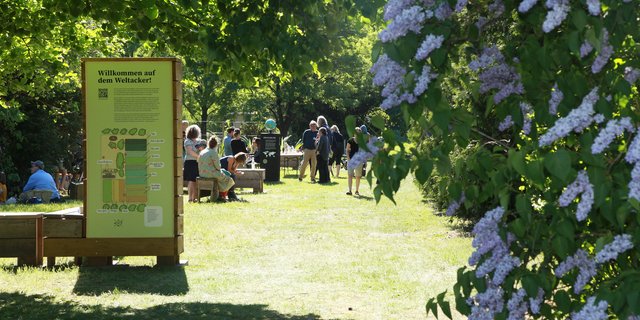 Ab Mai kann man die drei Schweizer Weltäcker wieder besuchen. (Bild Weltacker Schweiz)