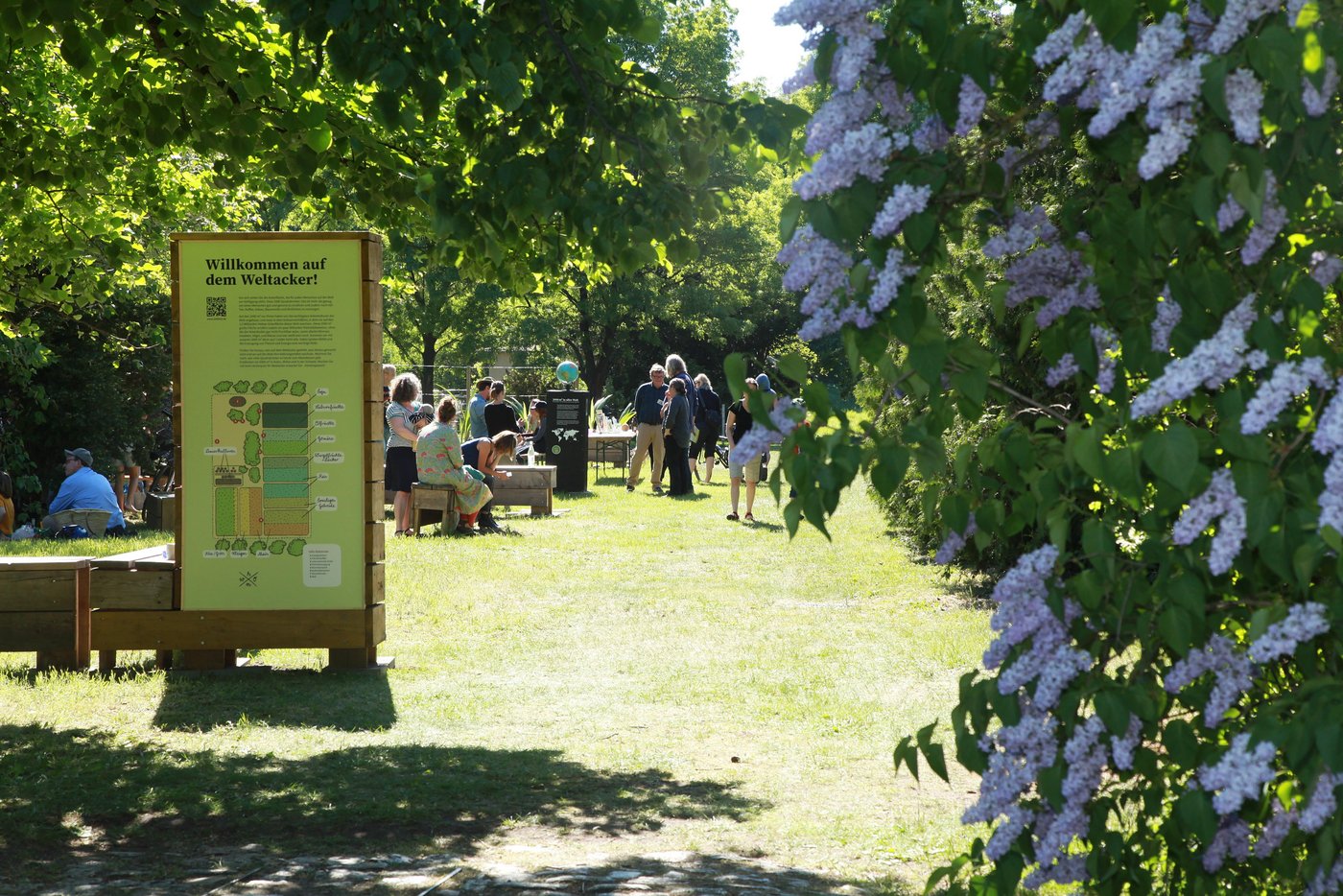 Ab Mai kann man die drei Schweizer Weltäcker wieder besuchen. (Bild Weltacker Schweiz)