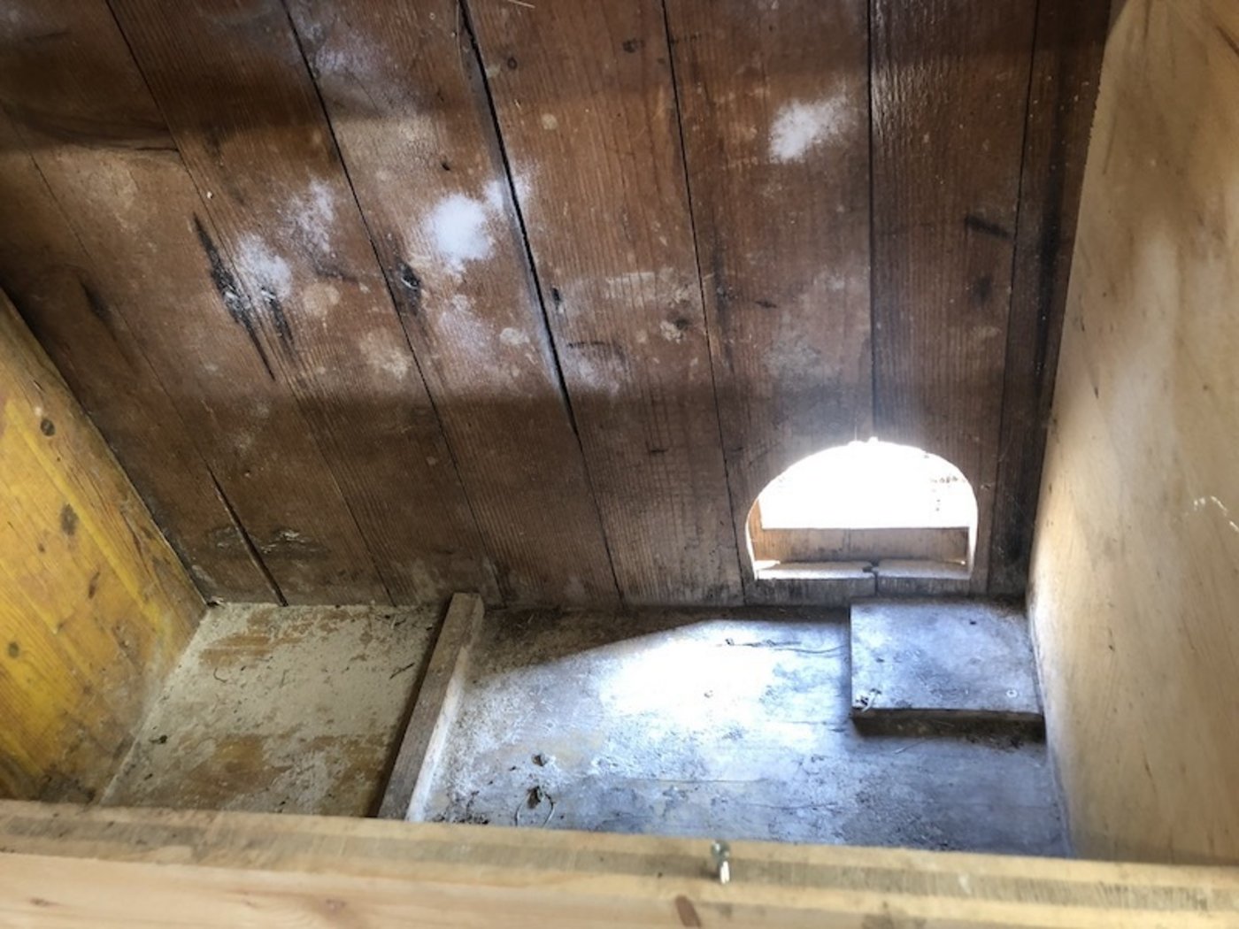 Noch sind die Nester leer, doch bis in zwei Wochen sitzt hier eine Glucke und brütet zehn Eier aus.