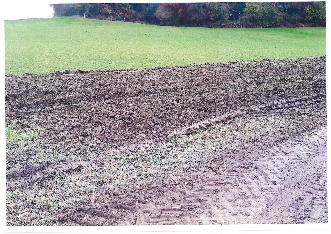 Ganze Grassoden (Mutten) waren angeblich im Transportanhänger nach dem Verlad sichtbar. (Bild zVg)