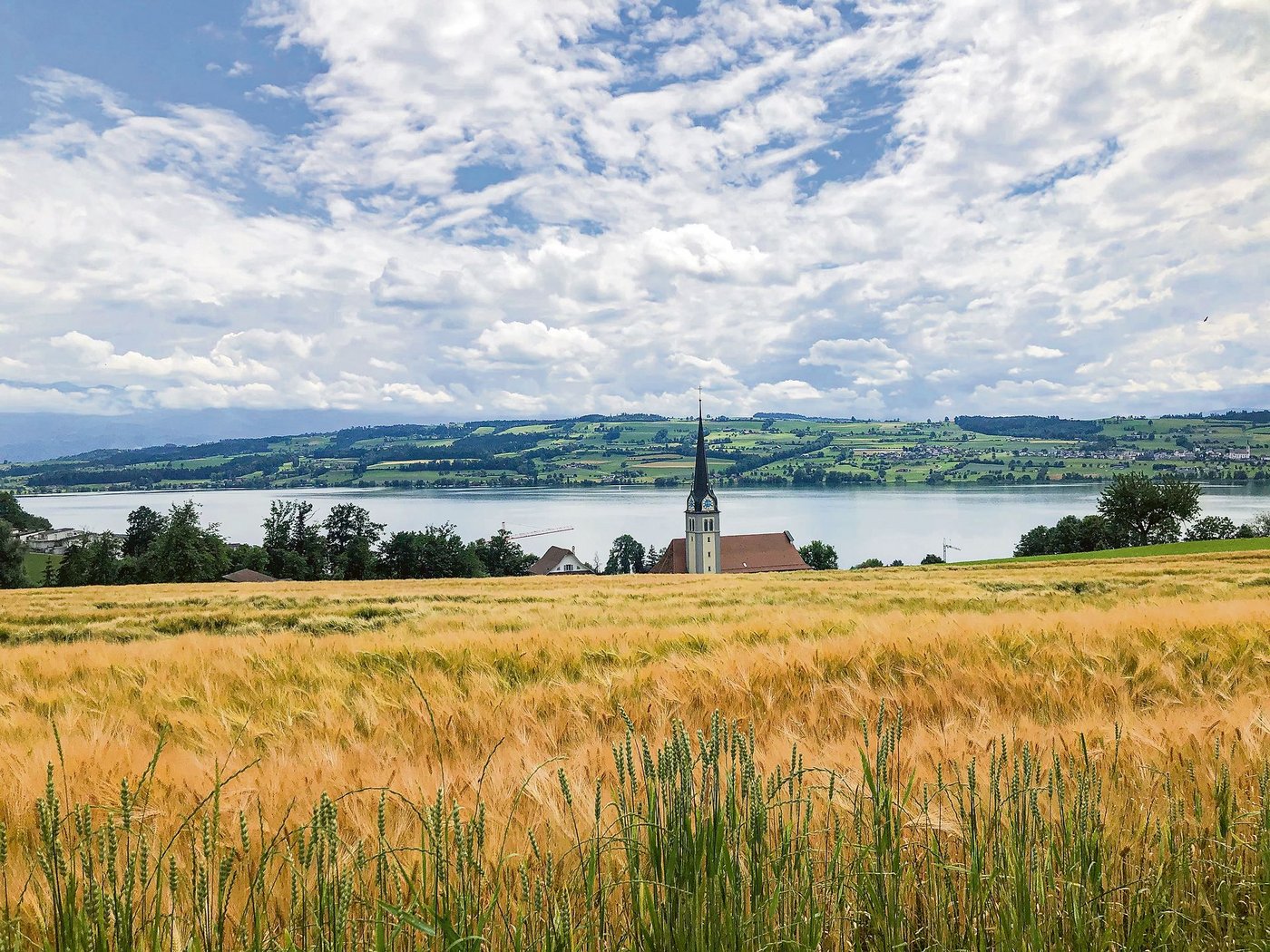 Malerischer Ausblick vom Brunhof auf den Sempachersee. (Bild itr)