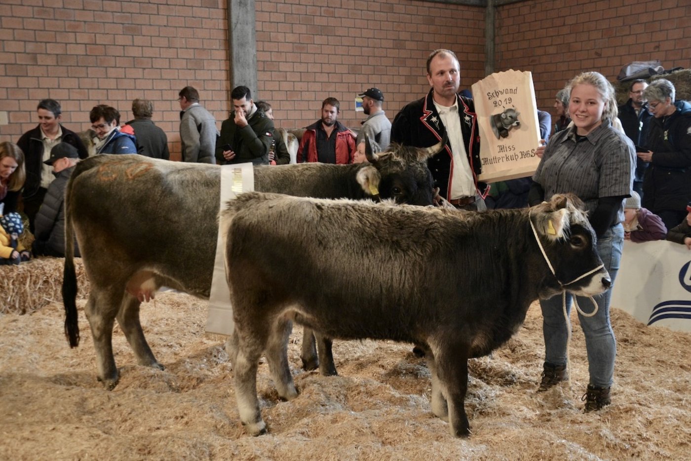 Rätische Miss Mutterkuh wurde Alessandro Annette mit Kalb Annia von Bruno und Roger Wyss aus Bönigen BE.