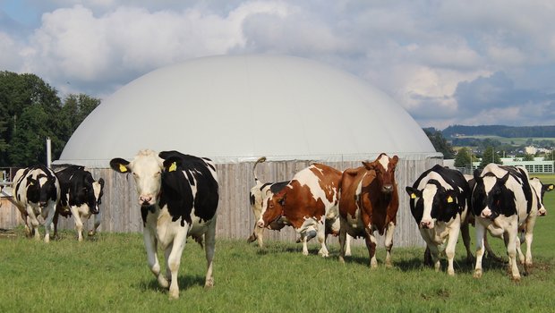 Bildlegende: Die landwirtschaftliche Biogasanlage der Familie Bigler in Moosseedorf BE hat nun die Aussicht auf gute Unterstützung aus der Politik. (Bild Ökostrom Schweiz)