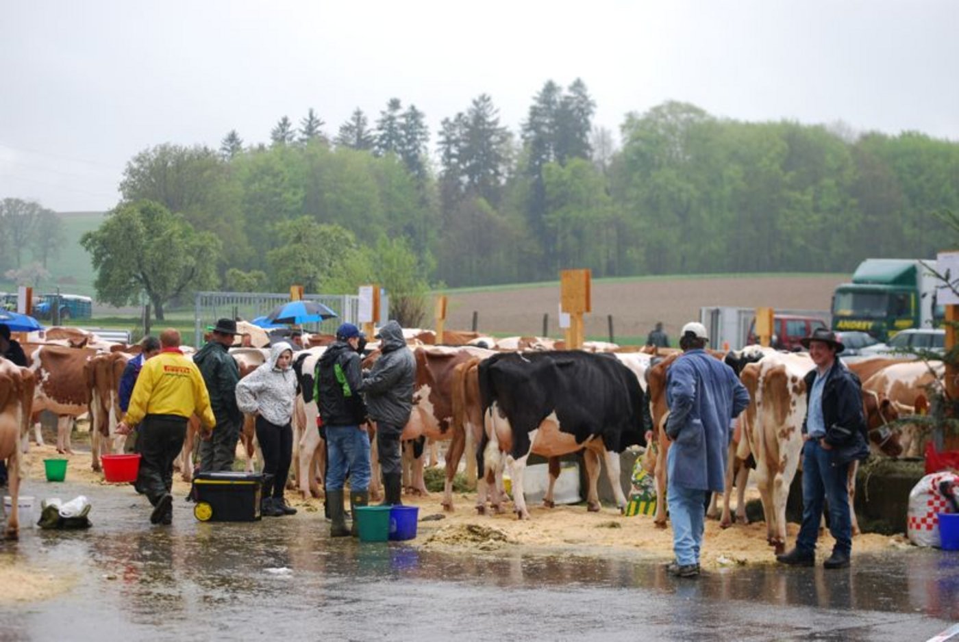 Trotz des schlechten Wetter war der Besucheraufmarsch gut.
