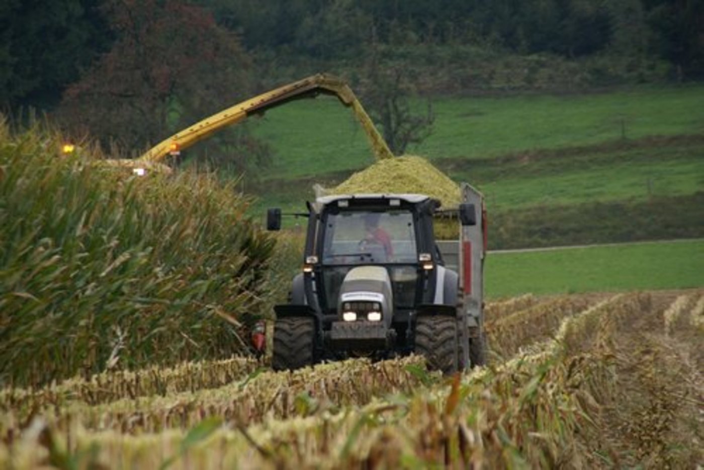 Die Lobag findet es "schwer verständlich", dass die hohe Teilnahme an den neuen Programmen als Erfolg gewertet werden könne. (Bild: lid)