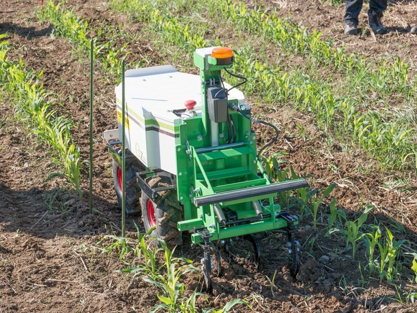 Autonome Hackroboter werden künftig auf biologisch und konventionell bewirtschafteten Äckern unterwegs sein. (ep)
