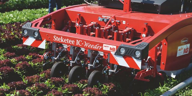 Der Steketee IC-Weeder spritzt und hackt automatisch. Bild: Beat Schmid