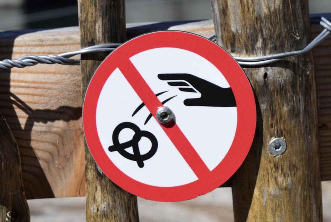 Wegen Kaufanreizen und hoher Qualitätsansprüche hat auch der Handel eine zentrale Rolle beim Thema Food Waste. (Bild Pixabay)