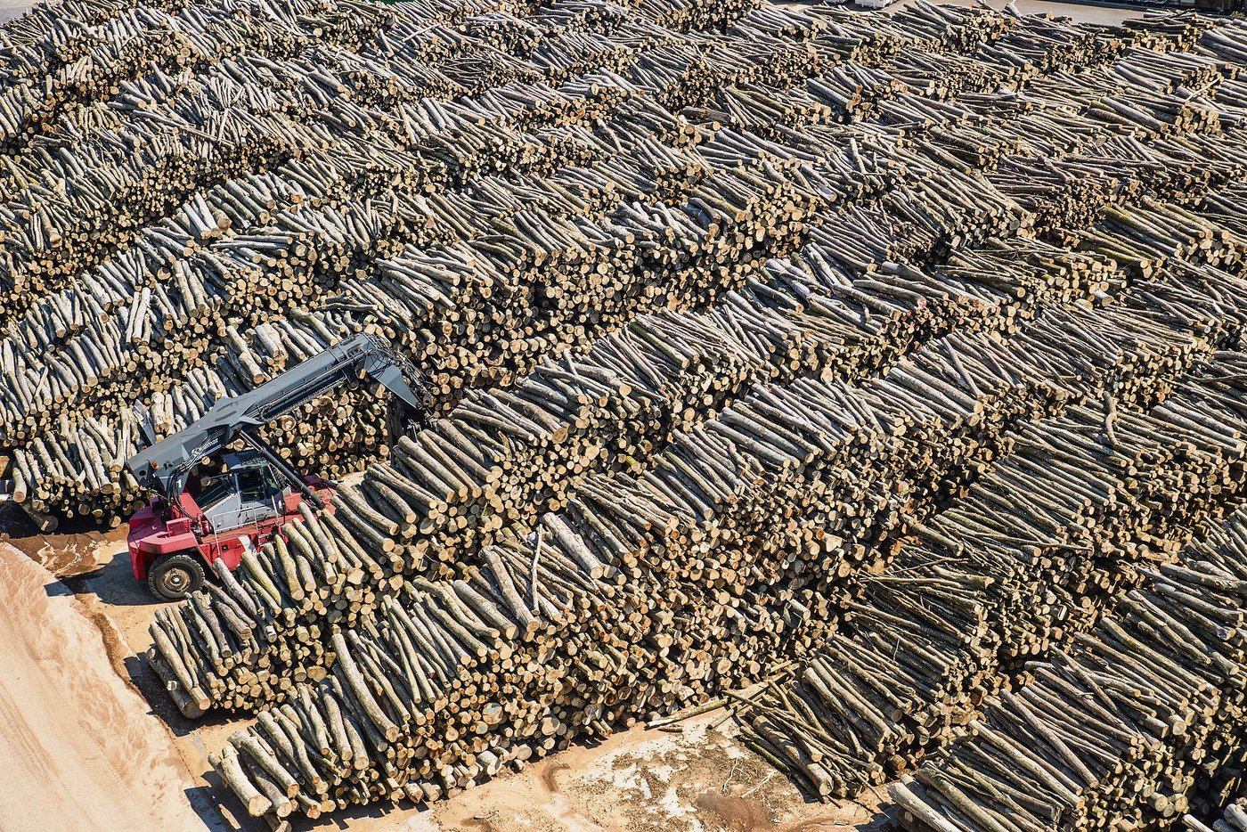 Für die Tencel-Produktion verarbeitet Lenzing vor allem Eukalyptus-, Buchen- und Fichtenholz. (Bild Lenzing)