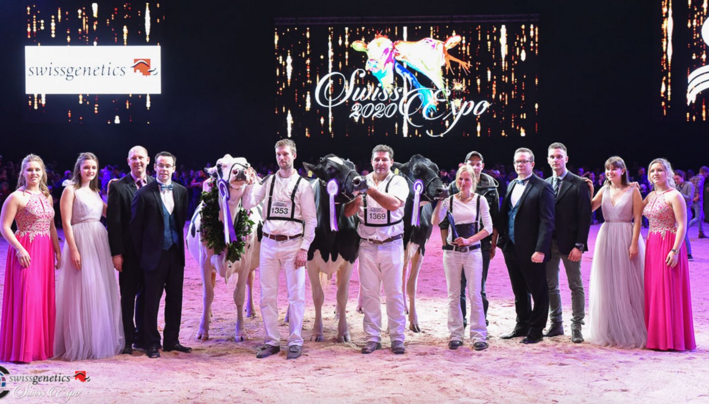 Champion (v.l.n.r): Sunibelle Dempsey Esprit, VK Holstein, N. Sudan, G. Jones, P. Conroy, Agriber, Q. Serrabassa, Sumiswald BE; Reserve: Hanna-Vray, Marc und Erhard Junker, Oscar und Eric Dupasquier, Iffwil BE; Mention: Sous Revers O Kaliber Odessa, Favre, Florence und Sébastien Gratwohl, Lorenz Bach, Les Moulins VD. (Bild Cowsmo)
