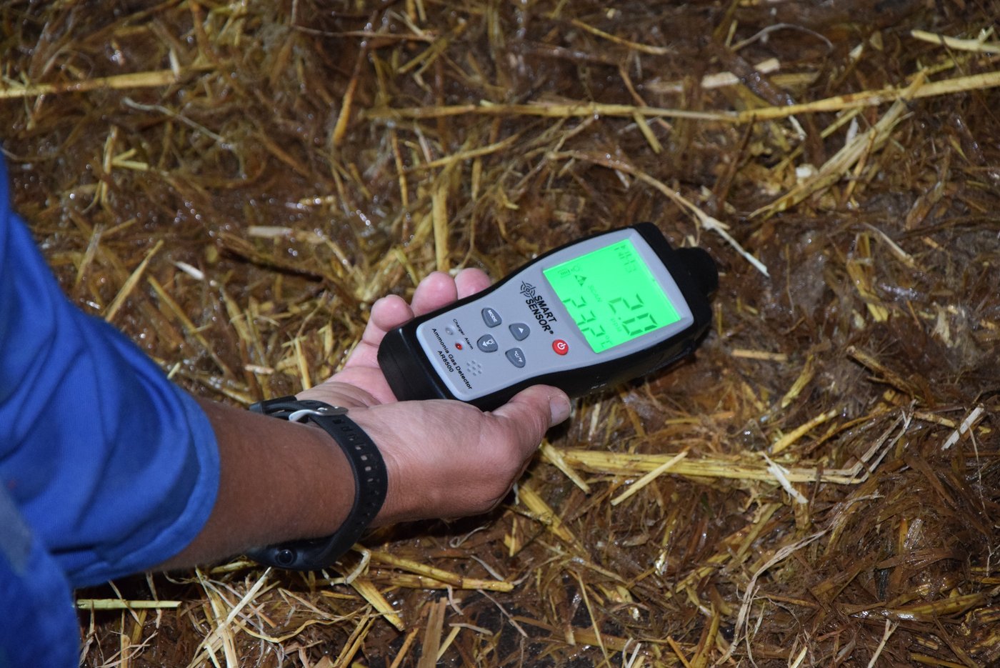 Im Schweinestall wurde Kopros seit 3 Wochen nicht mehr ausgebracht. Hier misst Terranova einen Gehalt von 2 ppm – hier muss also bald wieder Kopros gespritzt werden.