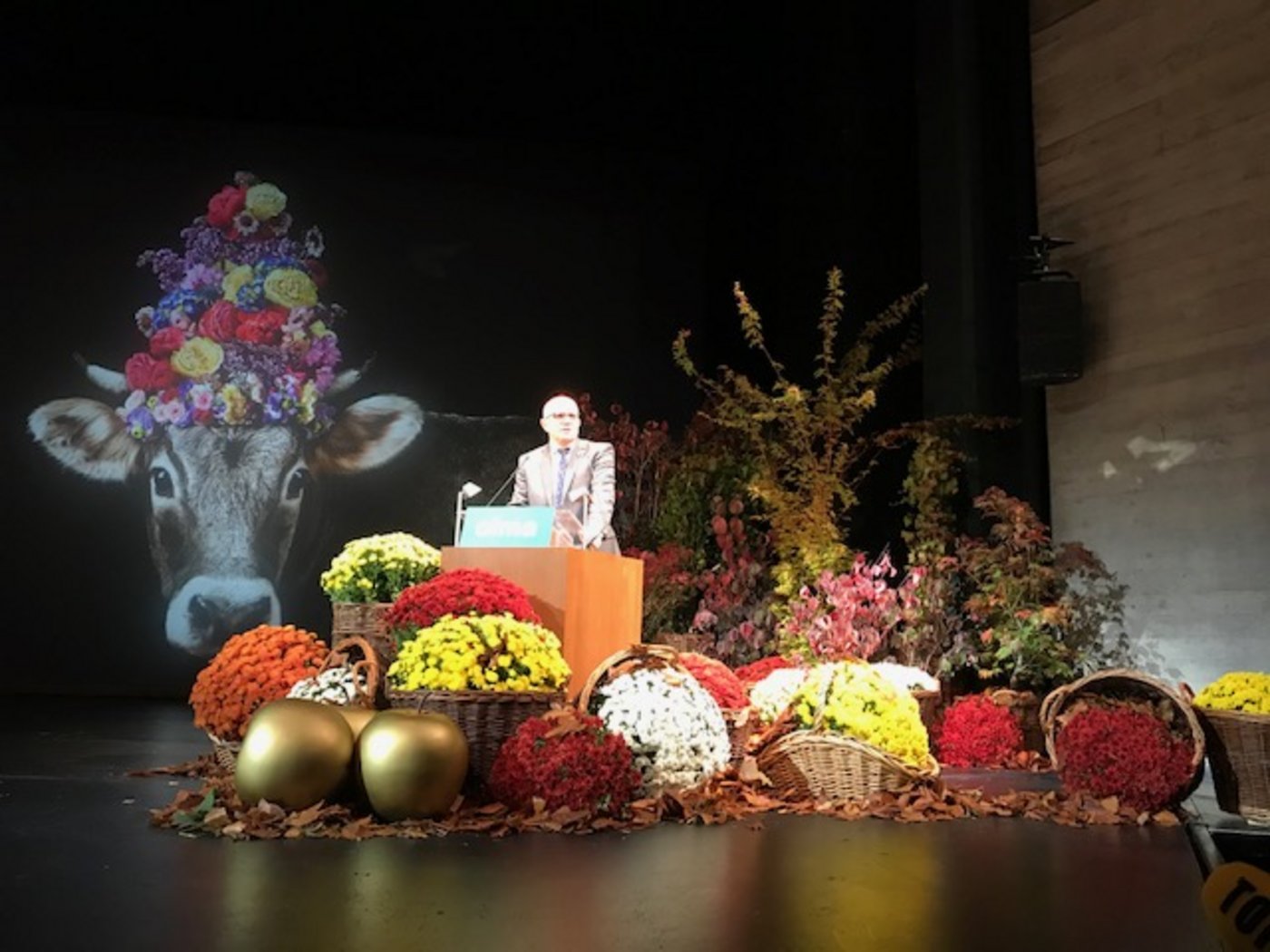 "Wir wurden überrent mit Anfragen für unser diesjähriges Plakat", sagte Olma-Direktor Nicolo Paganini. Das Sujet sieht man im Hintergrund.. (Bild akr)