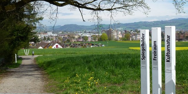 Bei Bauernfamilien der ganzen Schweiz sind die weissen Pfosten zu finden. (Bild oh/lid)