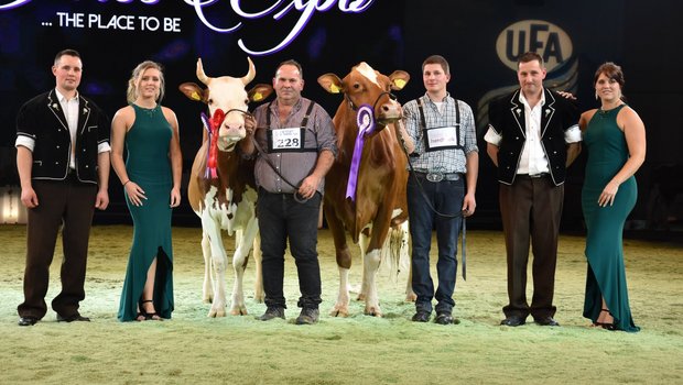 Renato Kate (rechts) von der BG Jungen aus Kiental wurde Grande Championne. Den Reserve-Titel heimste die Odyssey-Tochter Melita von Michel, Michael und Alexandre Rey aus Le Châtelard-près-Romont FR ein.