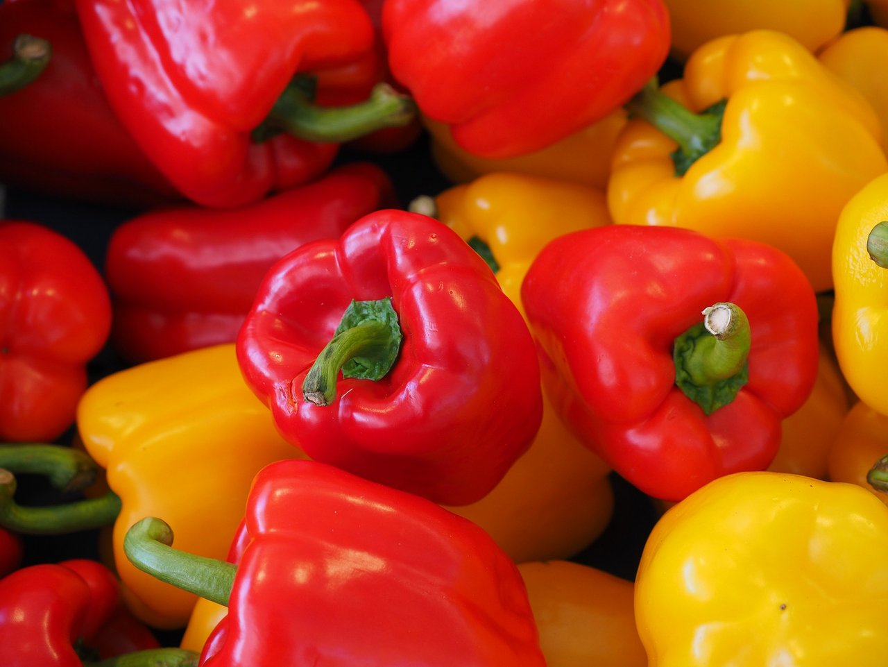Peperoni, Peperoncini, Paprika, Chili? Die vielen verschiedenen Namen für das farbenfrohe Gemüse stiften oft Verwirrung. (Bild pd)