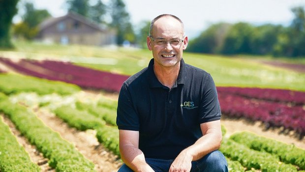 Viktor Hämmerli aus Brüttelen ist Vizepräsident der Genossenschaft Gemüse Erzeuger Seeland (GES). Er ist dort auch stellvertretender Leiter Arbeitsgruppe QS/Label/Soziales.