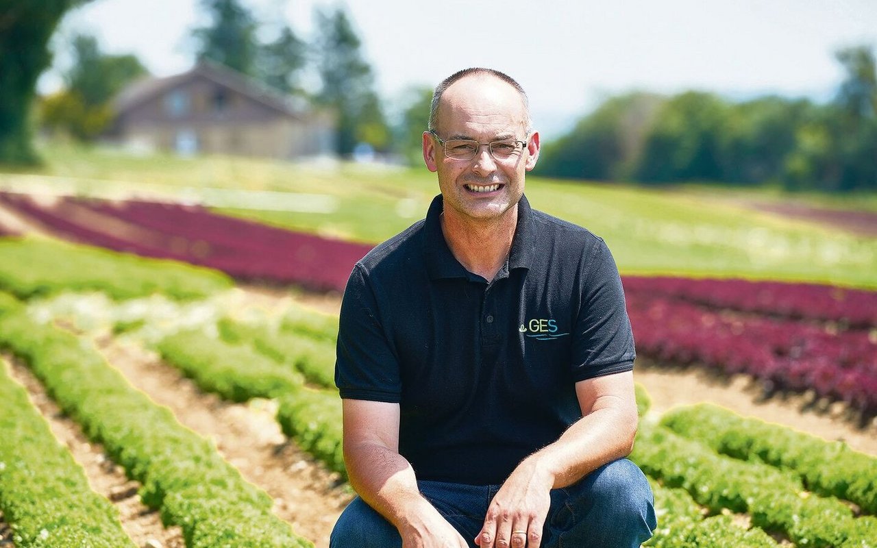 Viktor Hämmerli aus Brüttelen ist Vizepräsident der Genossenschaft Gemüse Erzeuger Seeland (GES). Er ist dort auch stellvertretender Leiter Arbeitsgruppe QS/Label/Soziales.