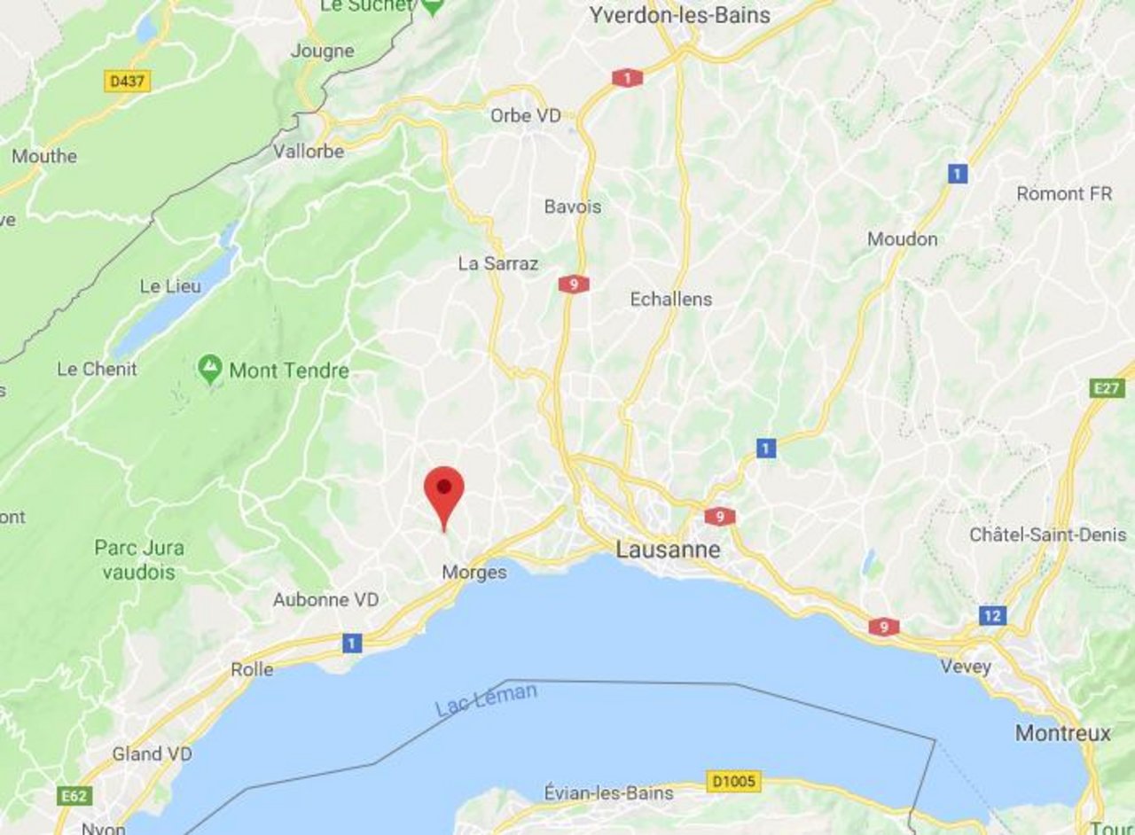 Der Vorfall geschah in einem Bach in der Nähe von Vufflens-le-Château VD. (Screenshot Google Maps)