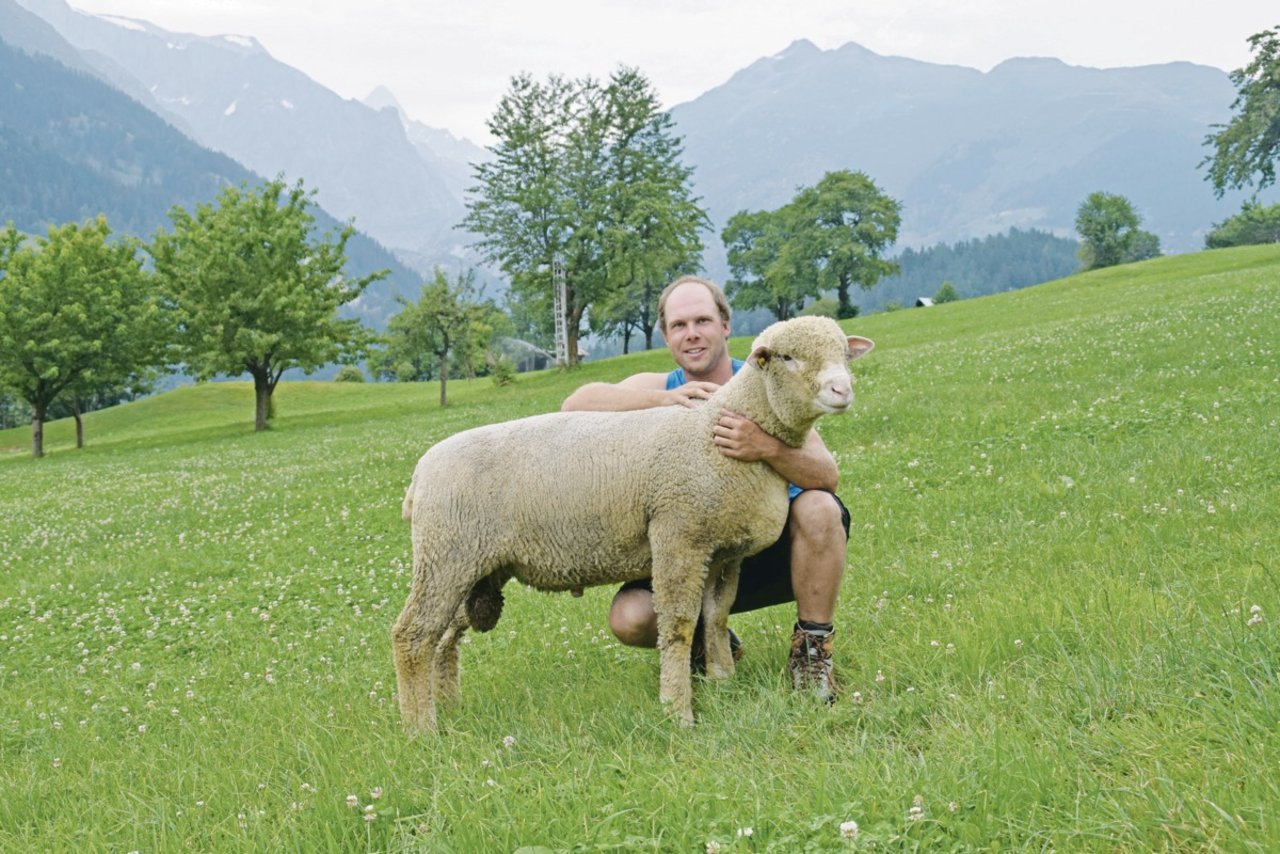 Die Leidenschaft für die Schafe wurde Fabian Schwery in die Wiege gelegt. (Bild joy)
