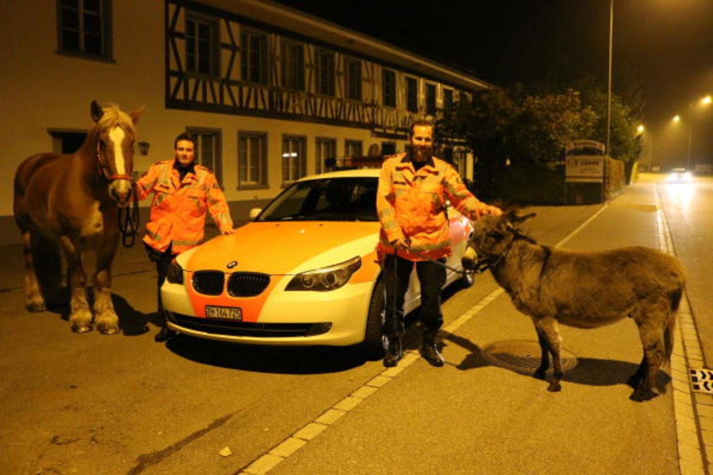 Dieses Foto postete die Kapo ZH am Samstag auf Facebook. (Bild Kapo ZH)