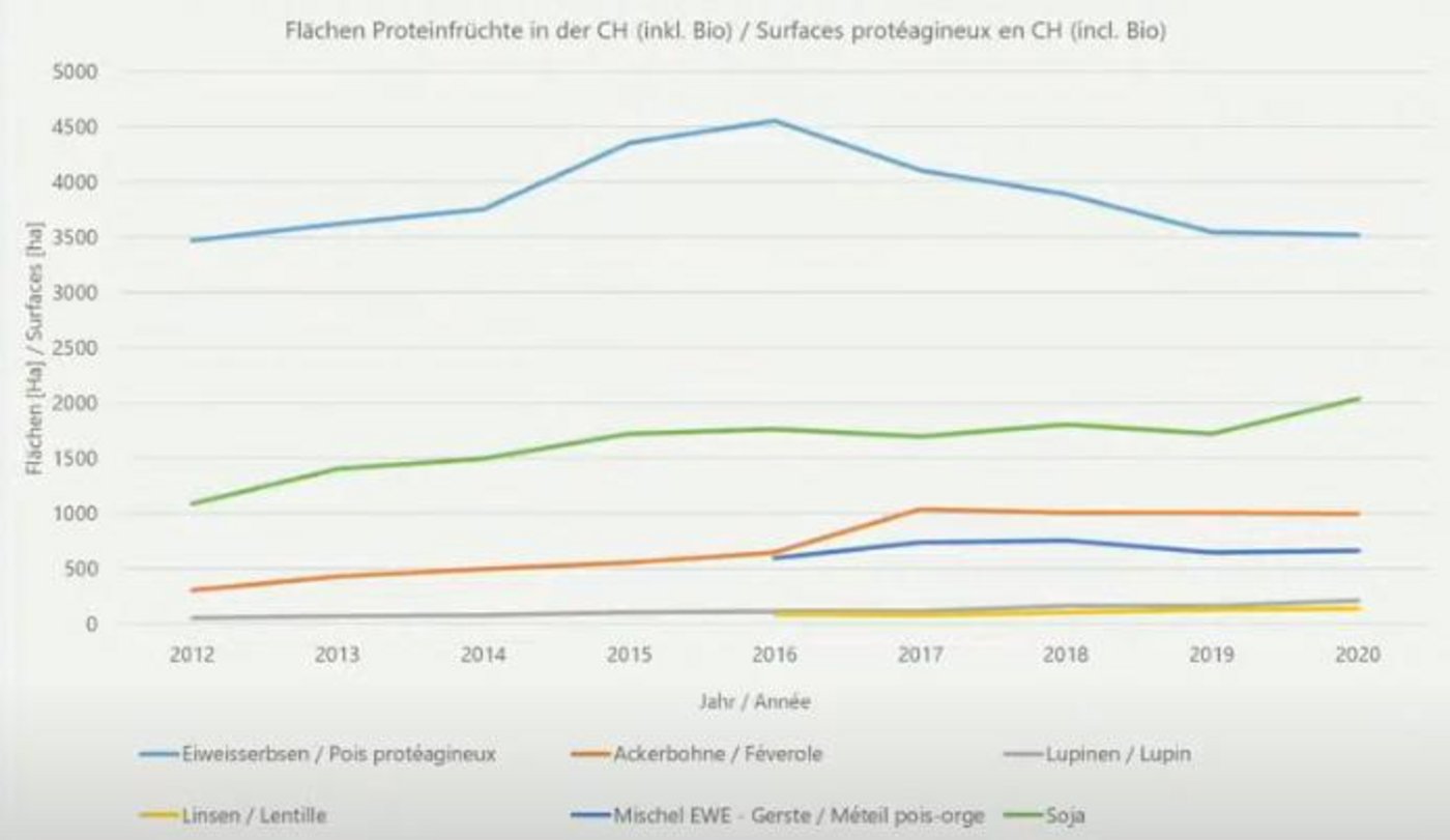 Flächenentwicklung Proteinfrüchte. (Screenshot UFA Samen/Quelle Swissgranum)