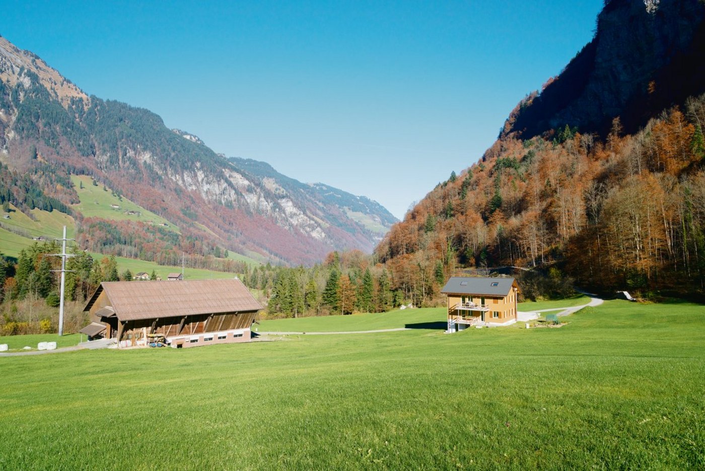 Beim Kauf von landwirtschaftlichen Objekten müssen viele Aspekte berücksichtigt werden. (Symbolbild Miriam Kolmann)