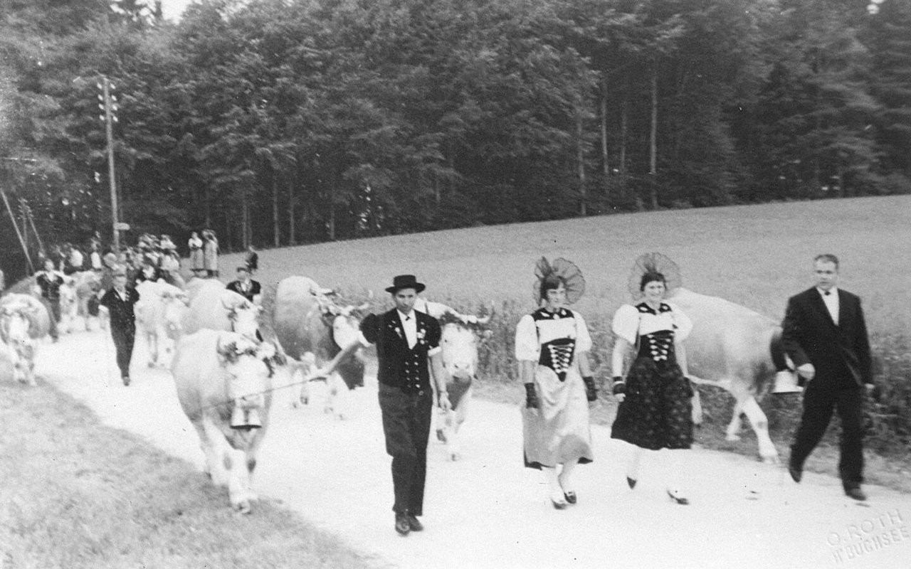 Bei der Schulhauseinweihung auf der Wäckerschwend machte die Familie Wälchli auch am Umzug mit ihren Kühen mit. 
