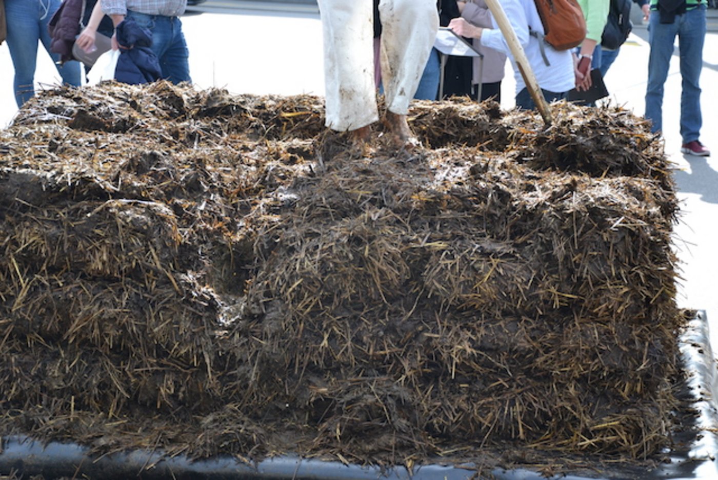 Zwar ist der Stapel nicht gezopft, aber unverkennbar geordnet. (Bild jsc)