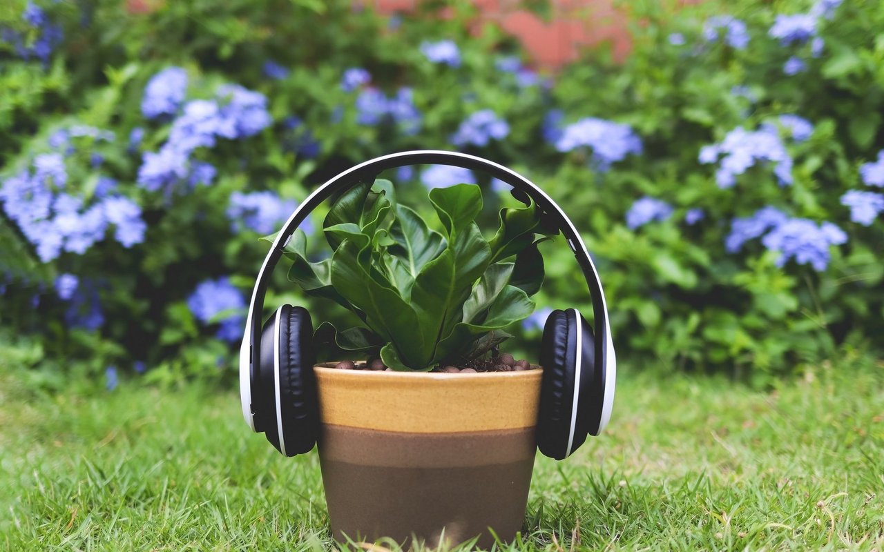 Mit Podcasts können sich Hörerinnen und Hörer auch während dem Putzen, Entspannen oder Spazieren über Nachhaltigkeit informieren. 