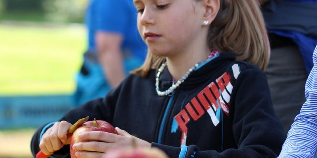 Eine Bauernhofolympiade bietet den perfekten Rahmen für Nichtbauern, Reisen und Ferien machen mit einem einmaligen Erlebnis zu verbinden. (Bild: zVg)