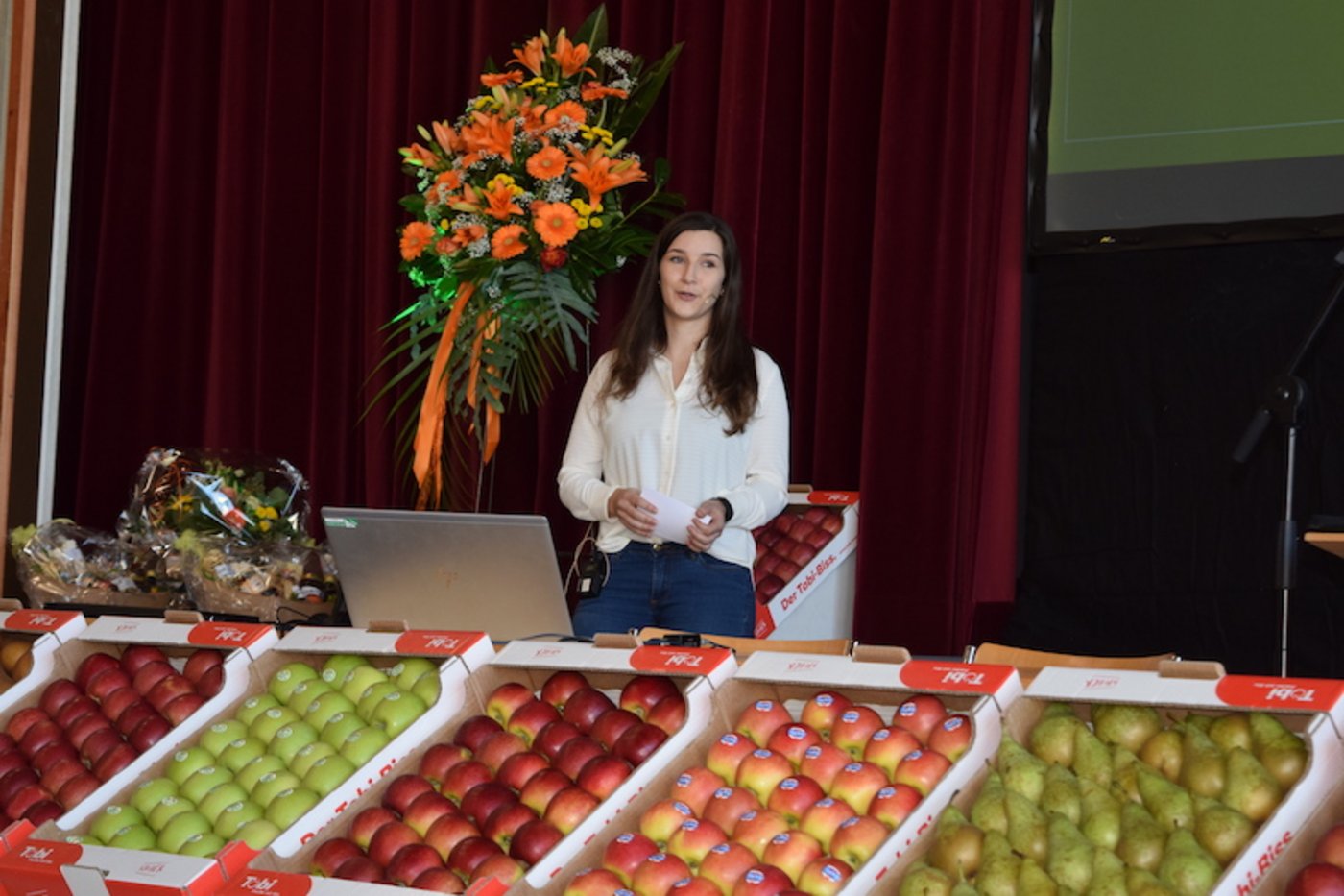 Katja Stadler verfasste ihre Bacholararbeit über die Ahornschmierlaus. (Bild sgi)