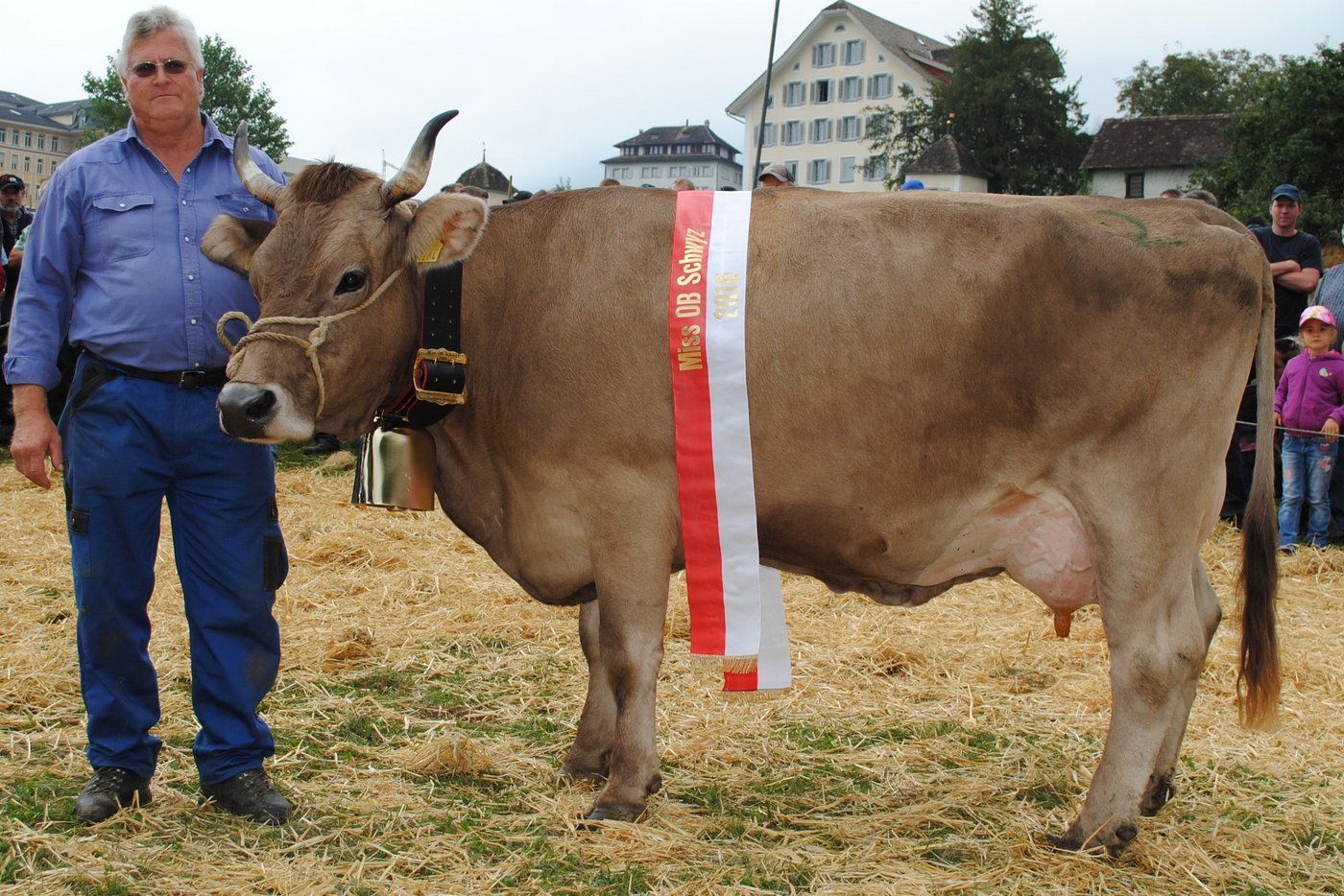 Nach 2013 zum zweiten Mal Miss OB Schwyz: Vento Vreni von Isidor Nauer, Illgau.