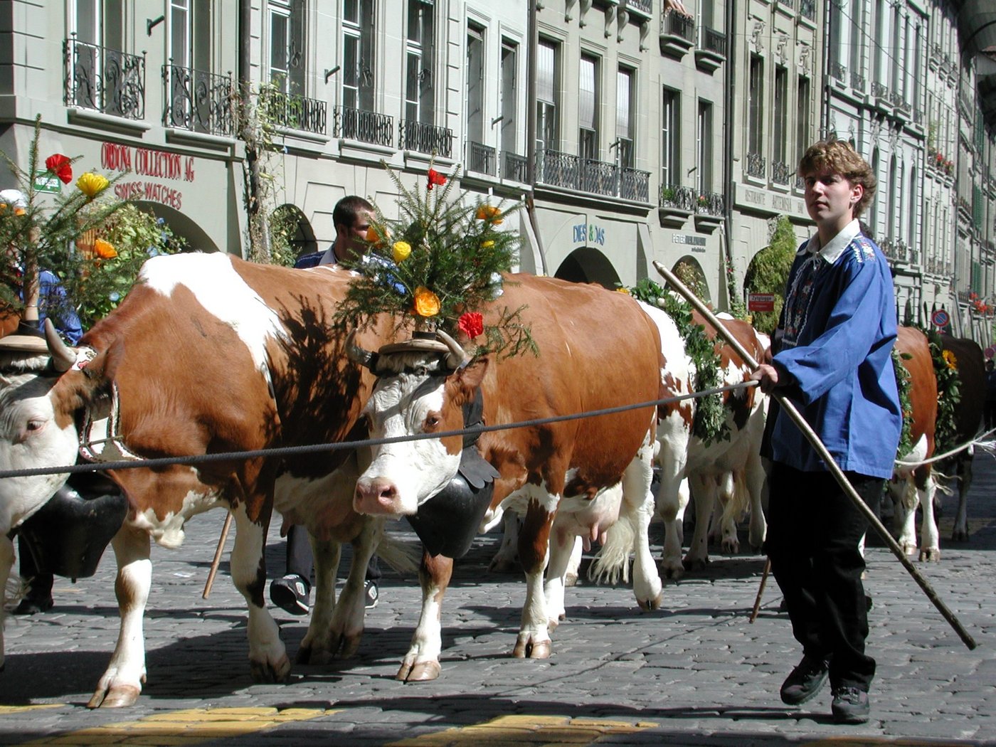 Die Bilder werden in einer Fotogalerie veröffentlicht. (Bild BauZ)