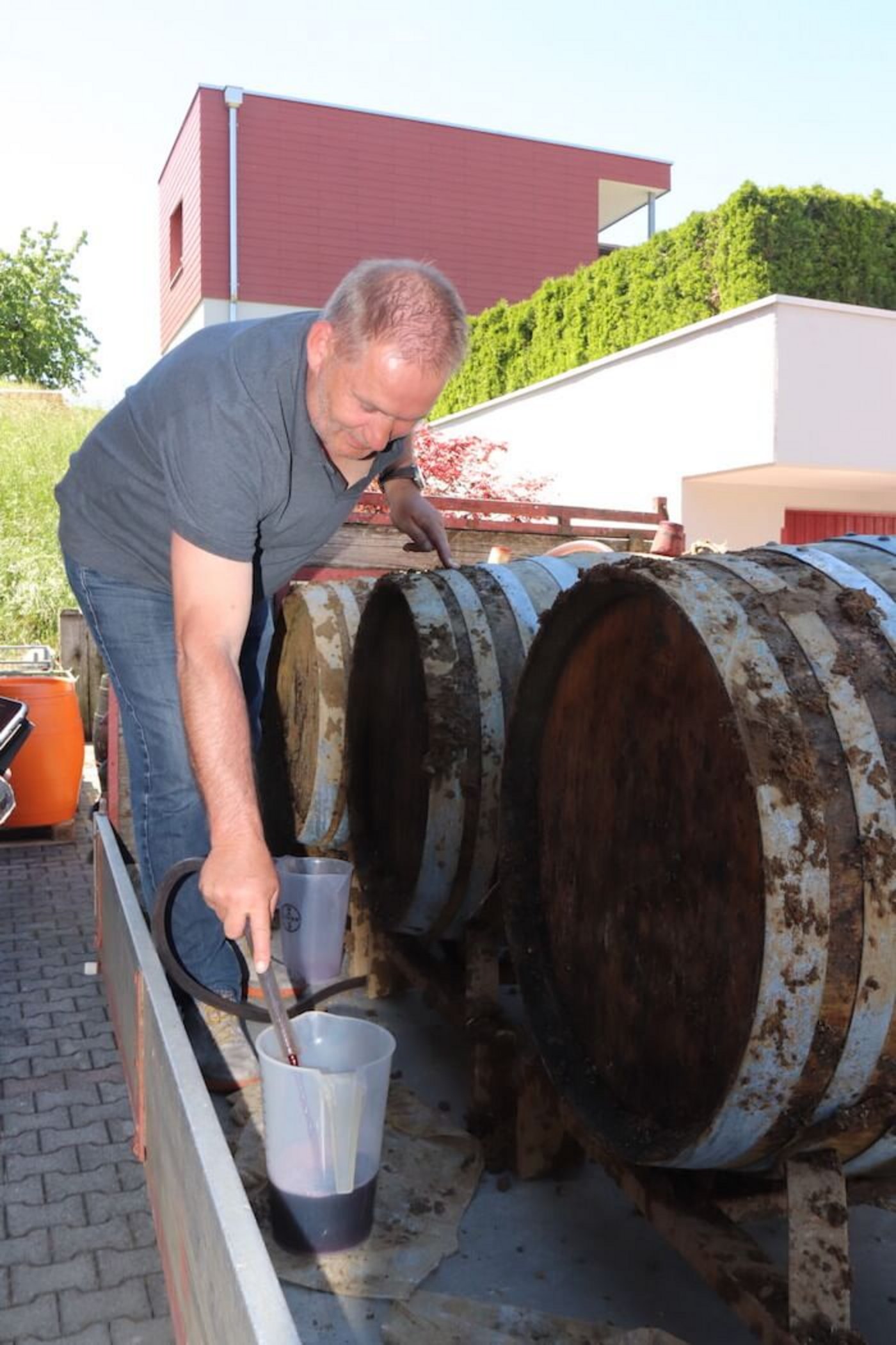 Erster Erdwein wird gezapft.