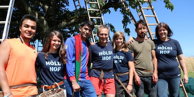 Im Pilotprojekt „Flüchtlinge helfen bei der Ernte von Hochstammkirschen“ arbeiten auf dem Höldihof vier Flüchtlinge als Erntehelfer mit. Unter den Kirschenbäumen wird zusammen gegessen und geredet. (Bild Benildis Bentolila)