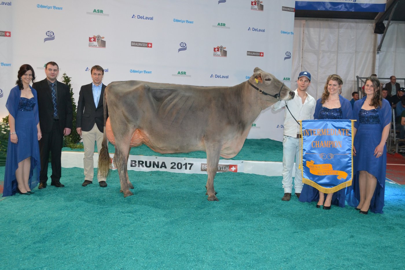 Reserve-Grand-Champion wurde die Blooming-Tochter Brooke von Markus und Matthias Süess aus Andwil.