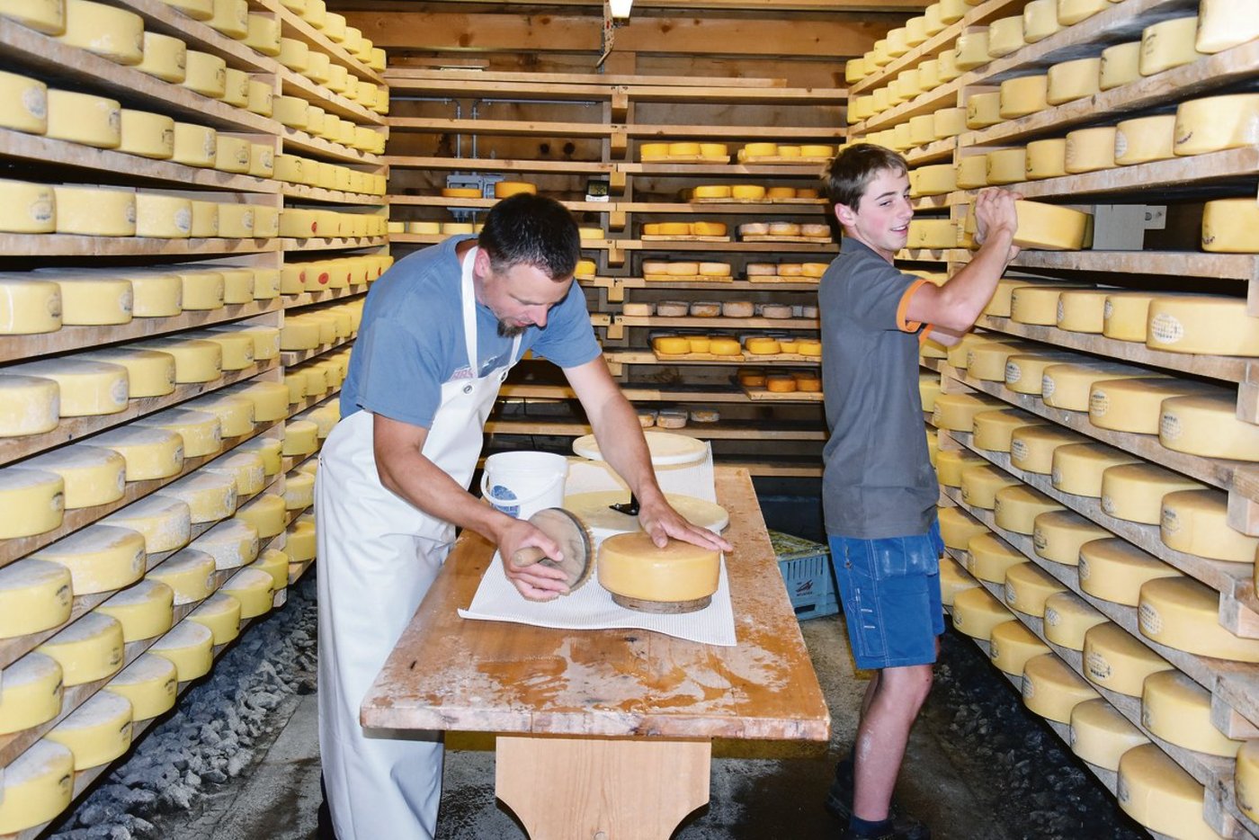 Im Käsekeller gibt es immer viel zu tun: Frank Amstutz mit seinem Sohn Jonas. Neben Berner Alpkäse AOP werden auch Mutschli und die Eigenkreation der Lauberhornkäse hergestellt.(Bilder Peter Fankhauser)