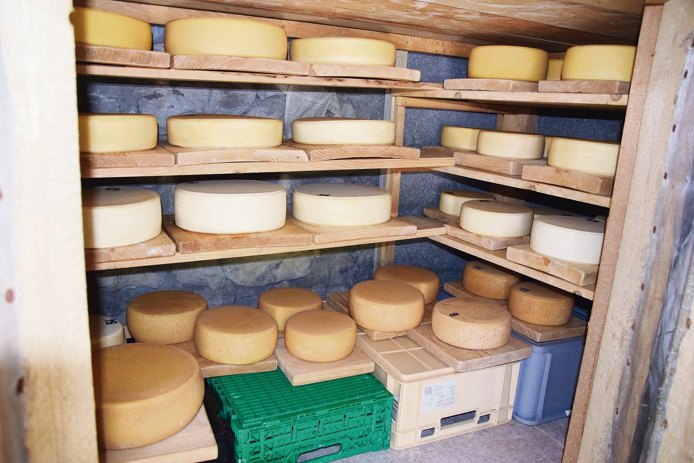 Der Käsekeller: Ziegenkäse, Mutschli, Raclette und Alpkäse werden hergestellt.