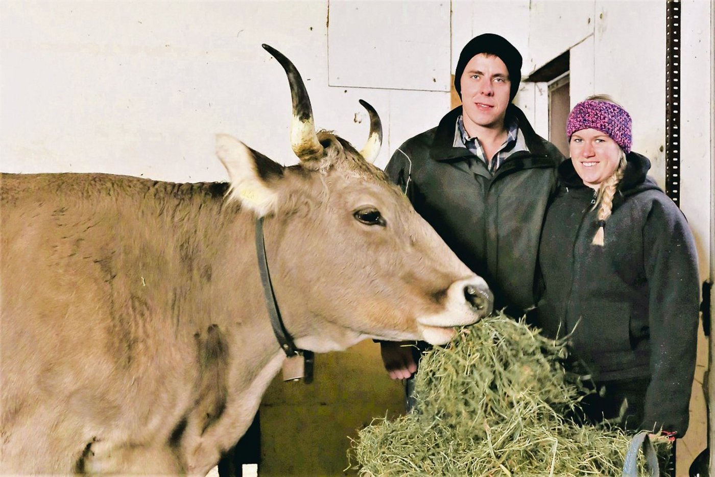 Die Mutterkühe von Mirjam und Roman Hürlimann fressen ausschliesslich betriebseigenes Raufutter. (Bilder Reto Betschart)