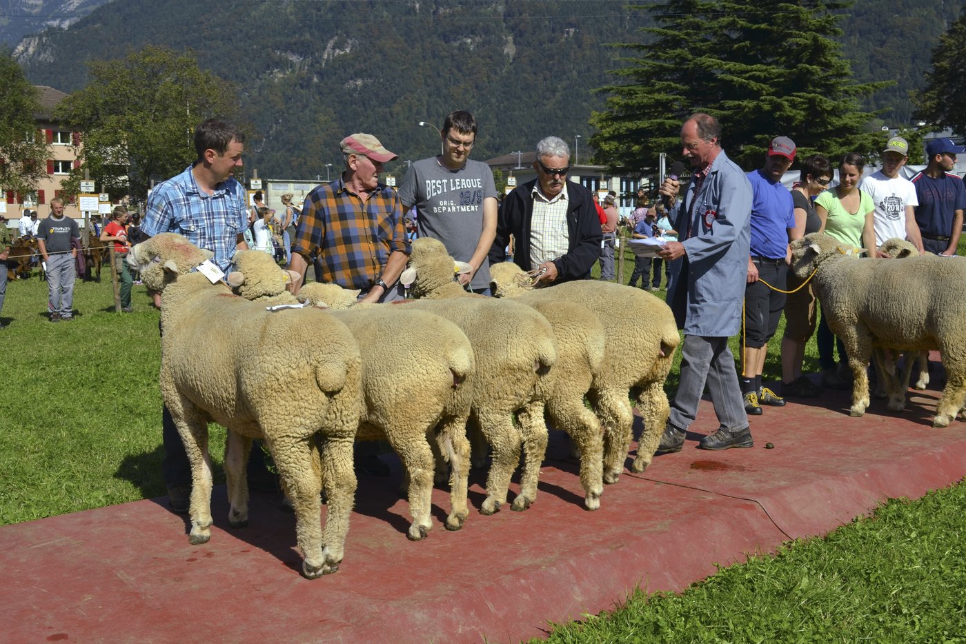 Die Präsentation der Kollektion des Weissen Alpenschafes von Remo Baumann, Meien, mit der Kommentierung durch Angelo Rizzi.