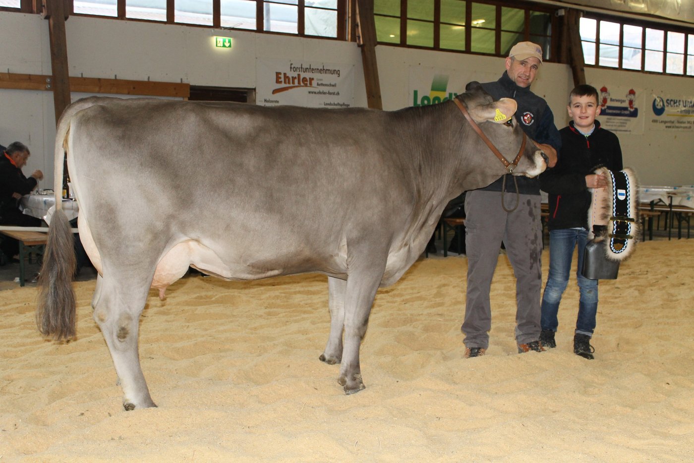 Vereint all die Vorzüge ihrer Rasse: OB-Champion Henry Holdina von Erwin und Armin Niederberger, Unterägeri. 
