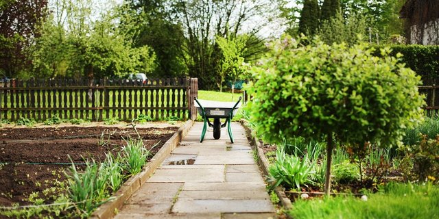 Wie in der Biolandwirtschaft spielen vorbeugende Massnahmen und mechanische Abwehrstrategien gegen Krankheiten und Schädlinge eine wichtige Rolle. (Bild Pixabay)