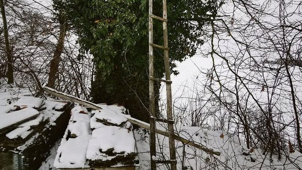 Wer auf diese Leiter Wer auf diese Leiter steigt, setzt sich einem gewissen Risiko aus. Zeit für eine sicherere Lösung?