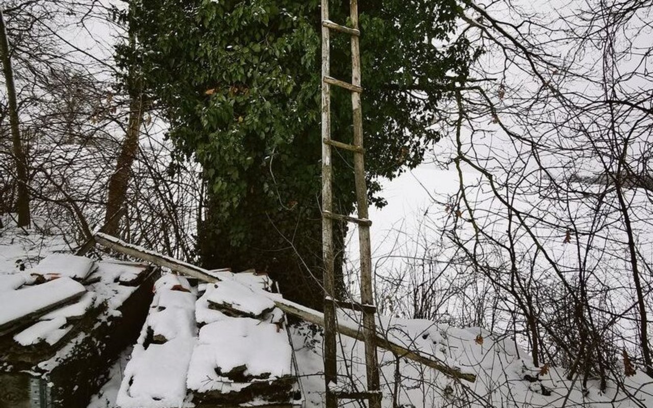 Wer auf diese Leiter steigt, setzt sich einem gewissen Risiko aus. Zeit für eine sicherere Lösung?