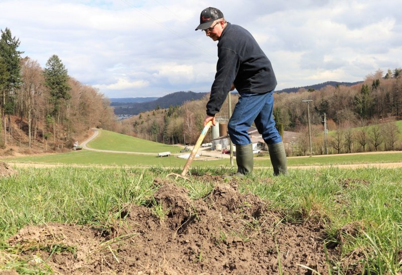 Wildschäden führen zu hohen Kosten in der Landwirtschaft. (Symbolbild aus der Zentralschweiz Ruth Aerni)